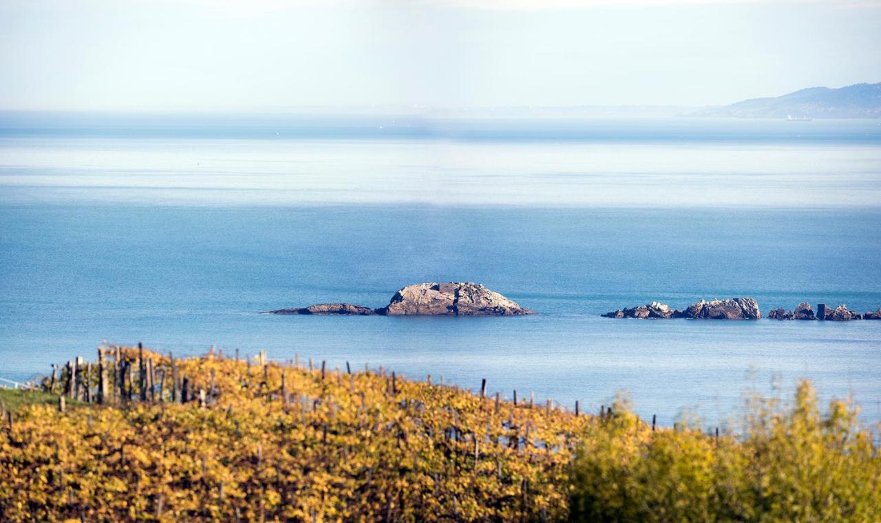 Aterian Euromar I Leilighet Zarautz Eksteriør bilde